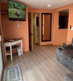 Living-room-2
